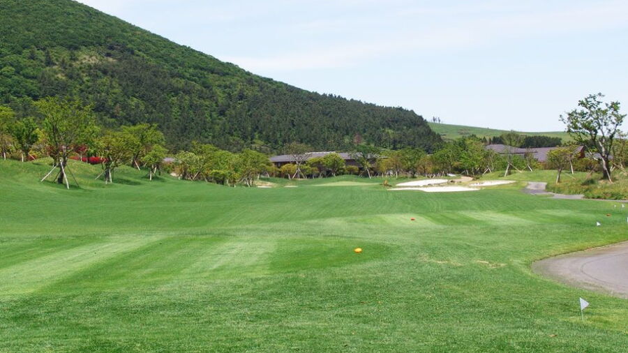 Elysian CC Jeju - Campo: #8