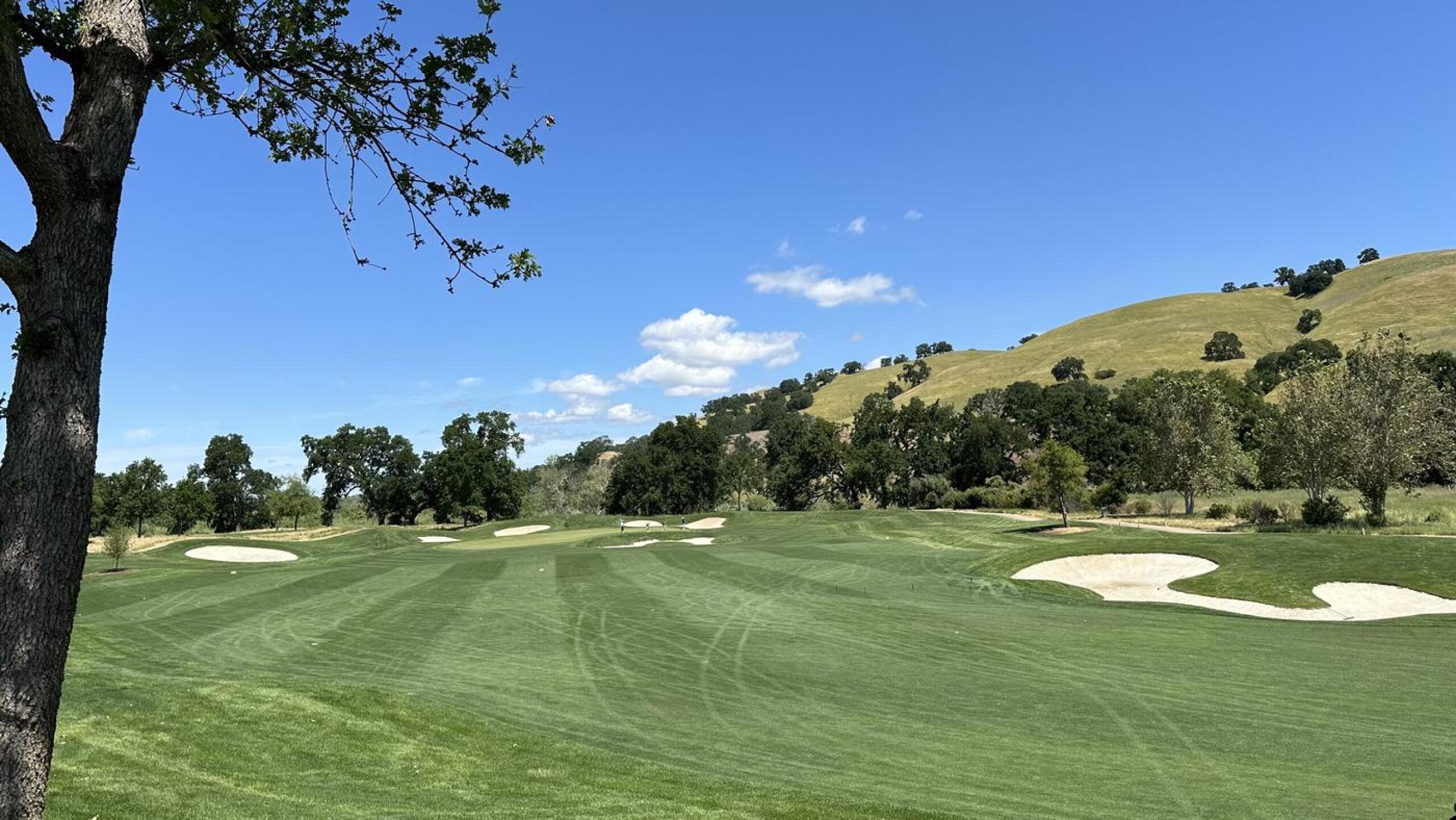 (Photo submitted by bejuma on 05/09/2024)