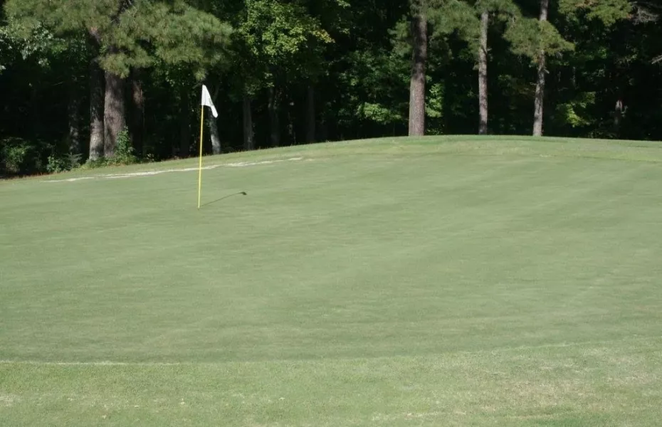 Tanglewood Shores GCC: #1