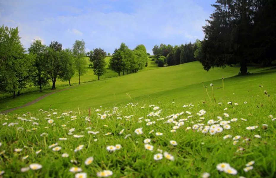 Schloss Georghausen GC: #8