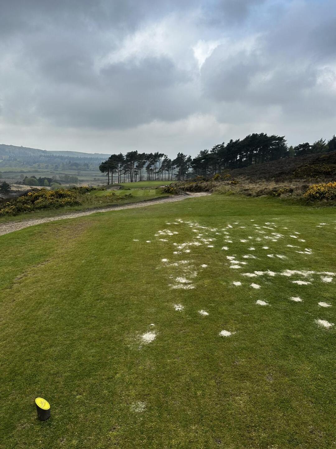 (Photo submitted by NathanHallmark on 04/29/2024)