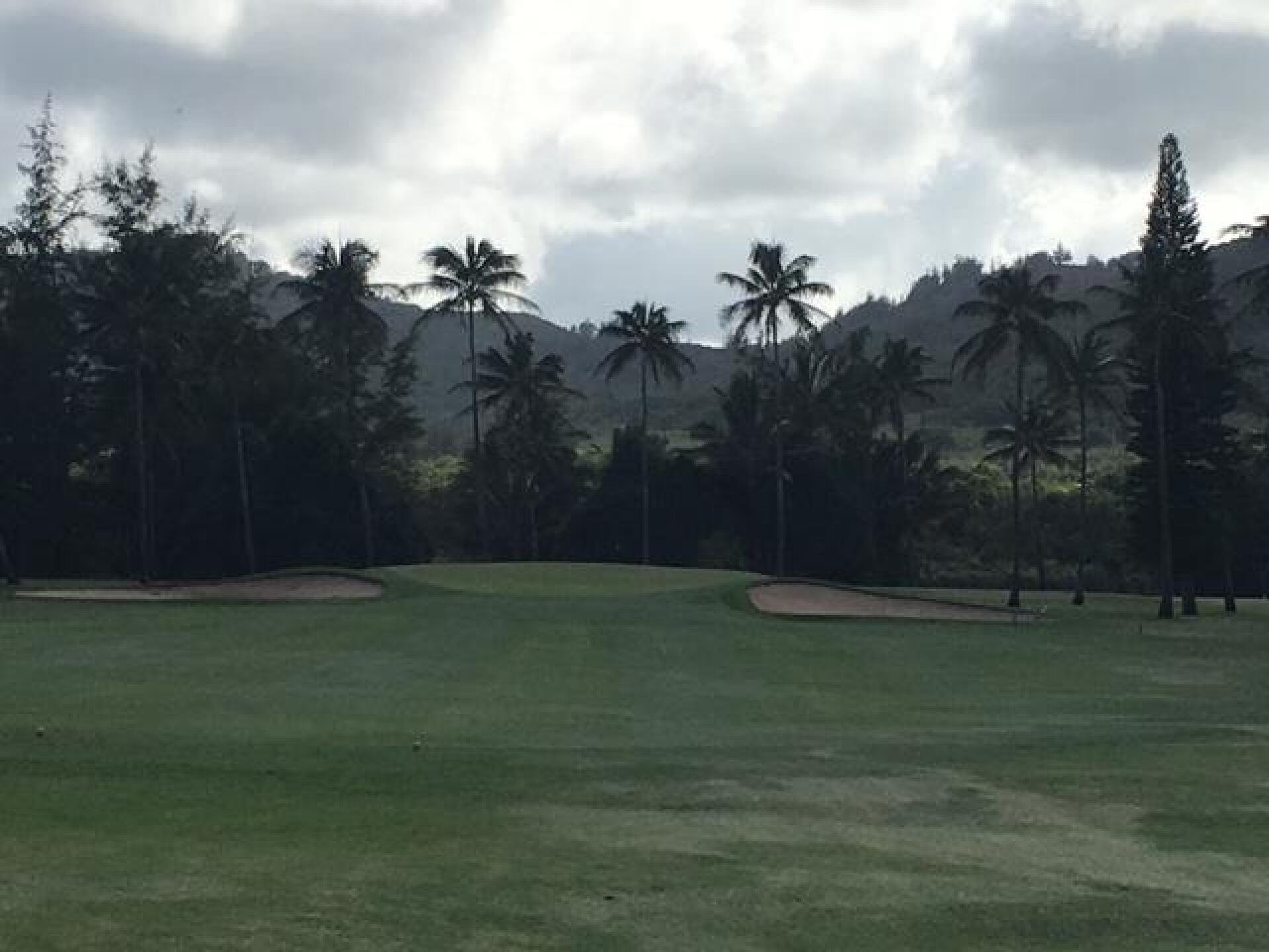 (Photo submitted by LICC on 09/08/2017)