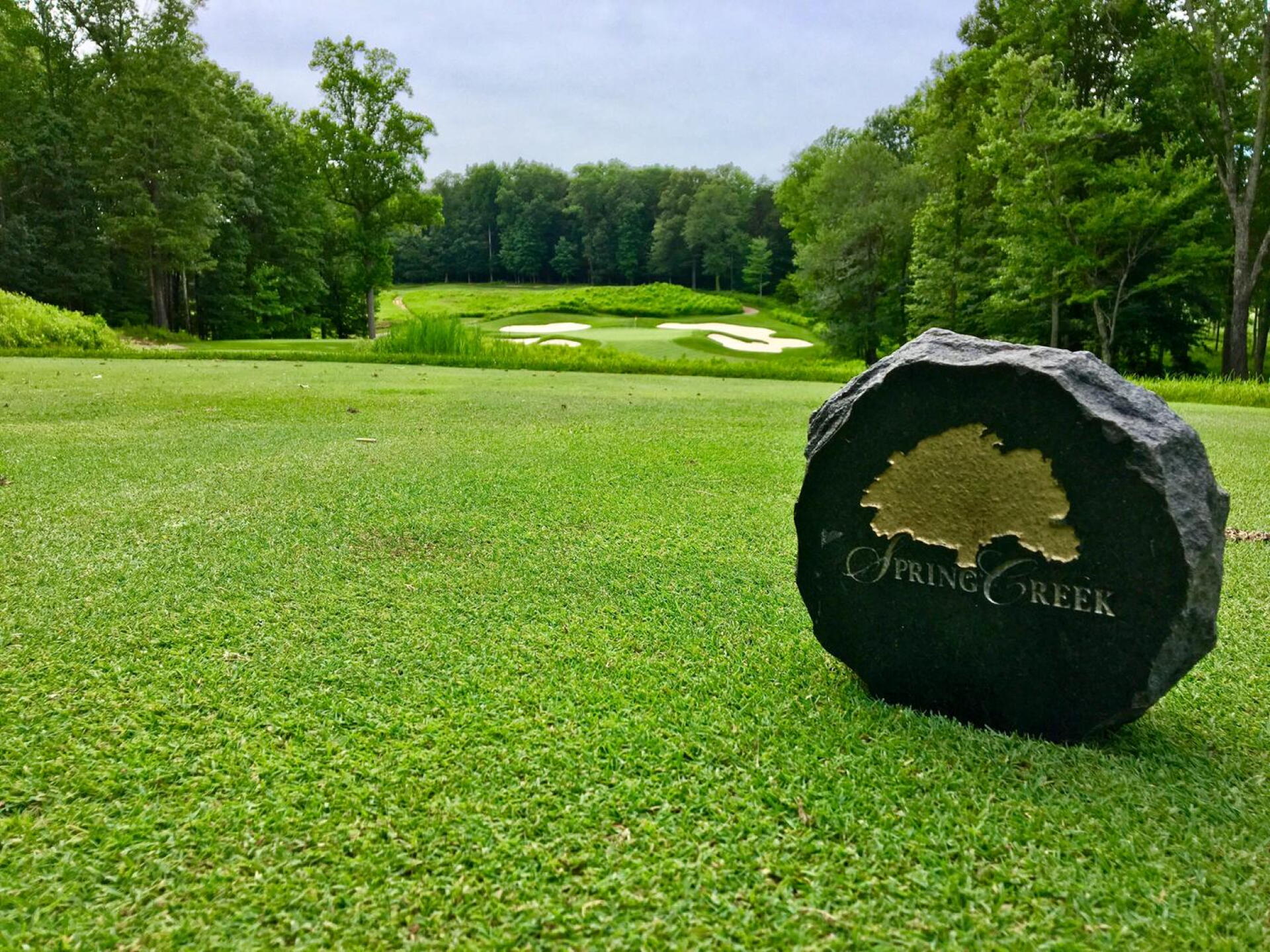 Par-3 fifth hole (Photo submitted by BrandonWebb on 06/20/2017)