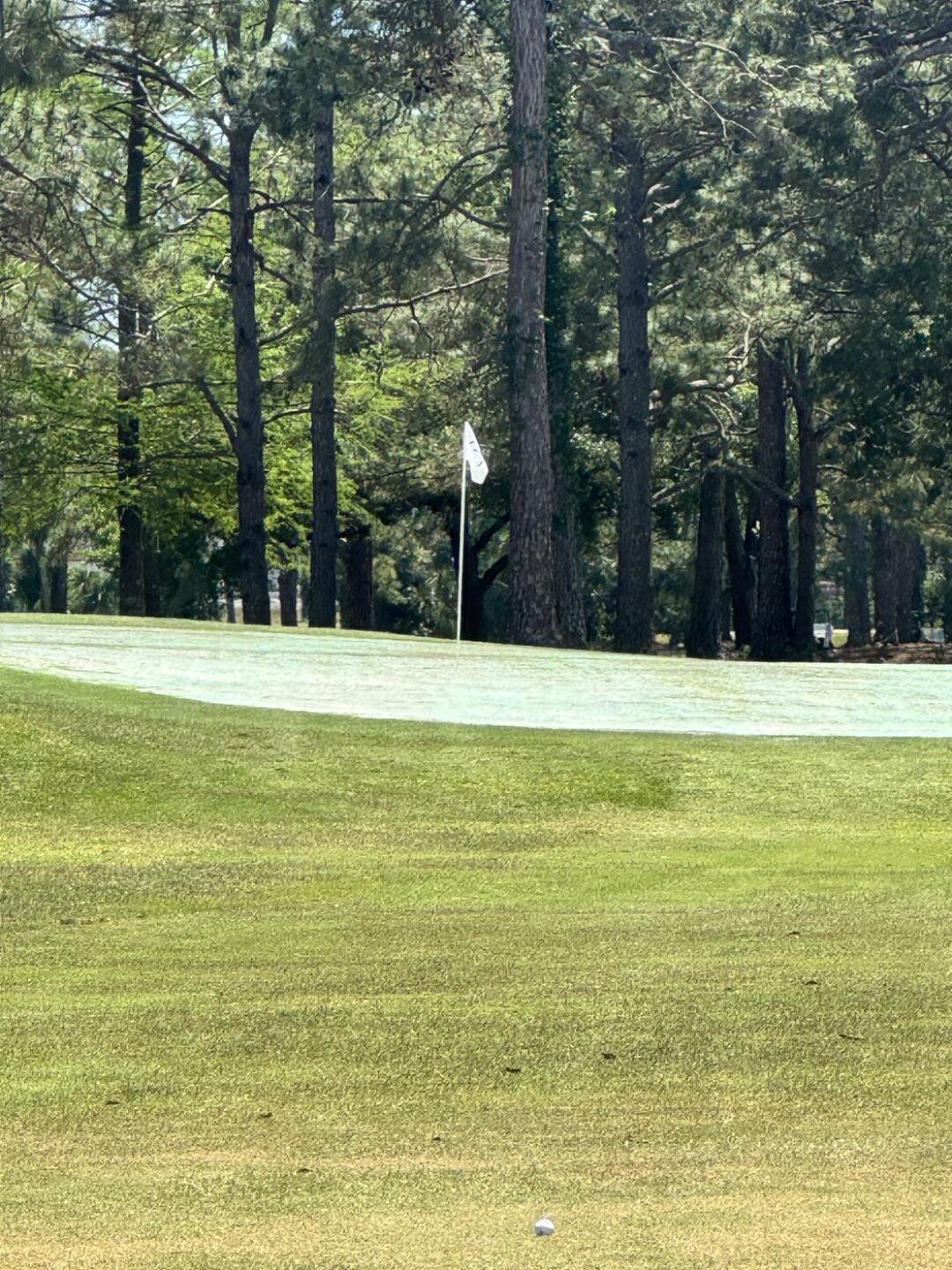 (Photo submitted by luisgnaranjo on 04/18/2026)