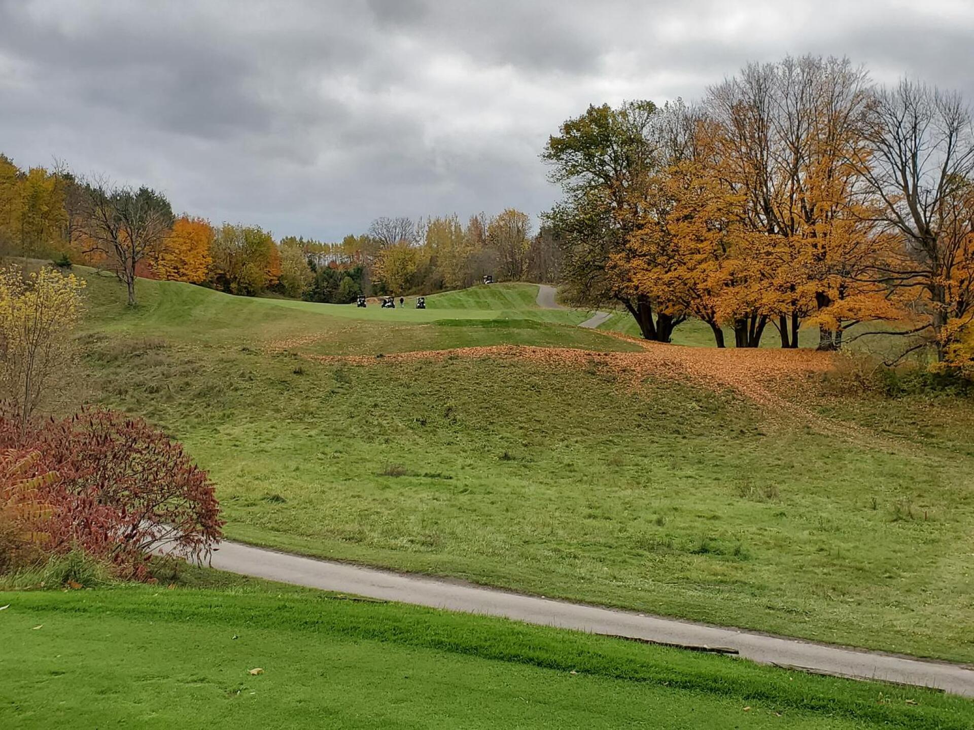 (Photo submitted by u314160827147 on 10/22/2020)