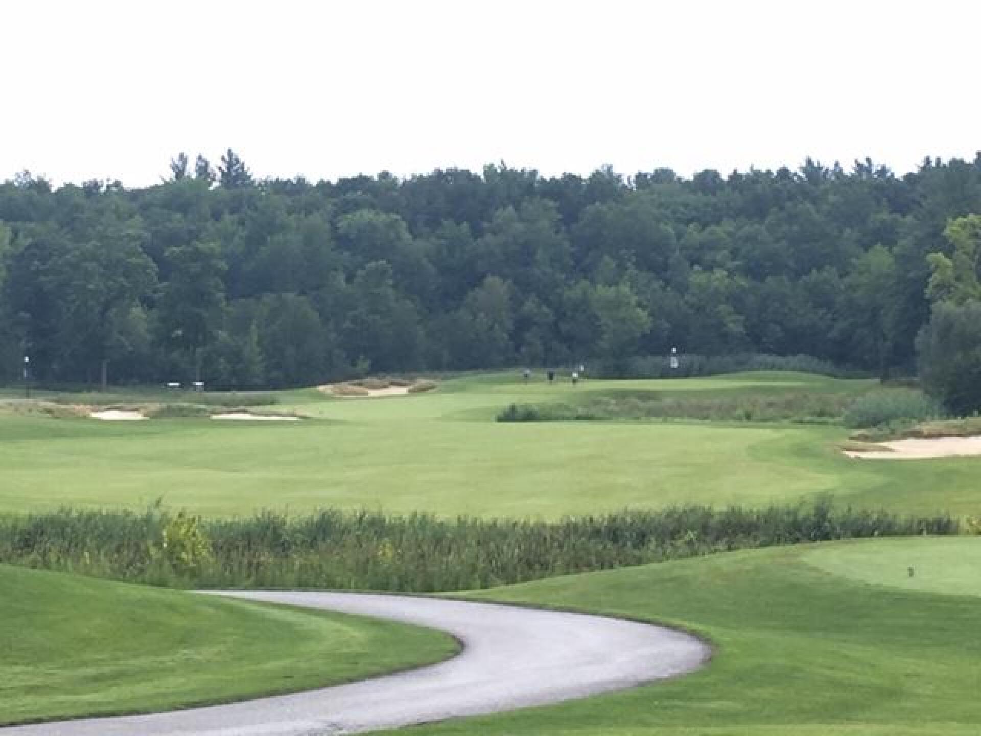 (Photo submitted by LICC on 08/11/2019)