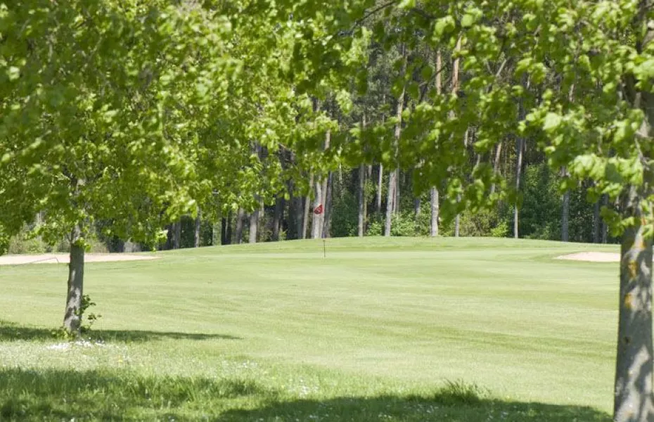 Lichtenau-Weickershof GC: #12