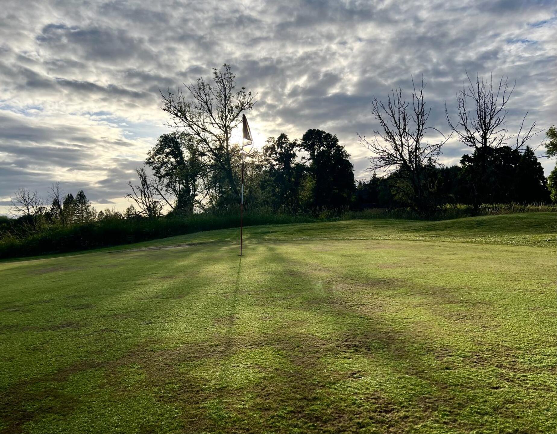 (Photo submitted by JacksonQ on 06/25/2023)