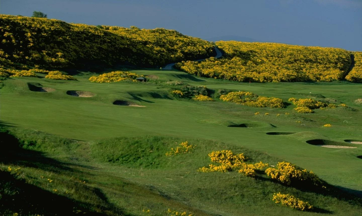 Royal Dornoch Golf Club in Scotland
