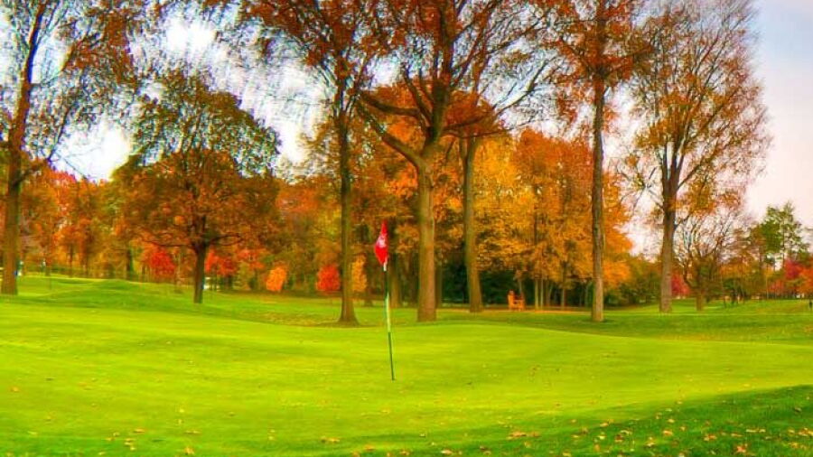 Essex GCC