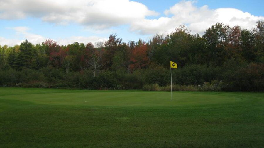 Goose River GC: #4