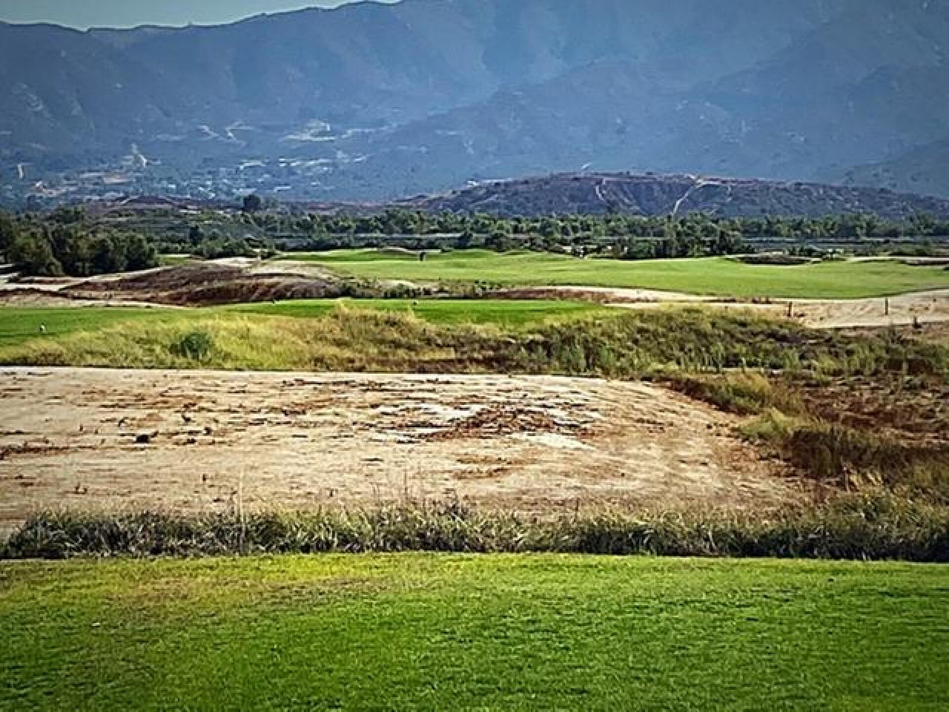 (Photo submitted by u314159790044 on 09/04/2020)