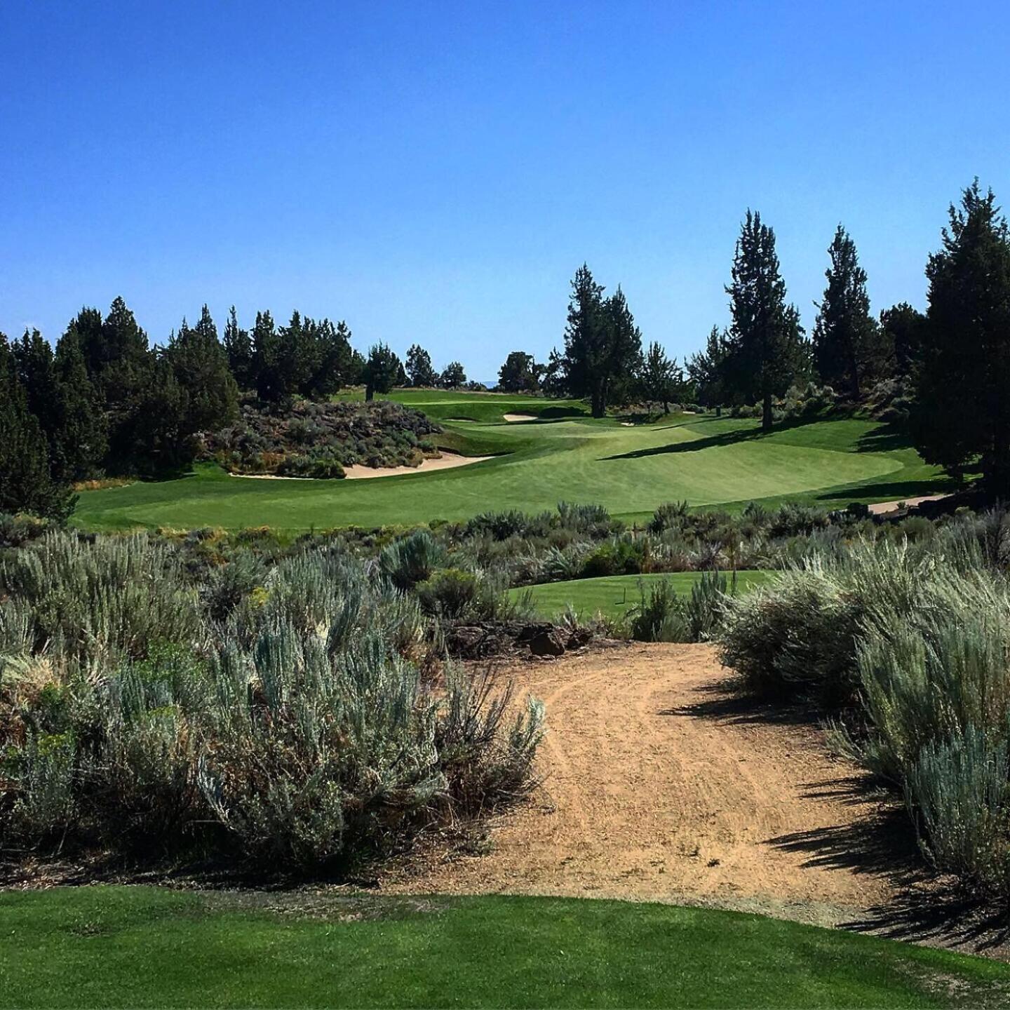 Where's my Slope??? (Photo submitted by u1135234 on 08/19/2019)