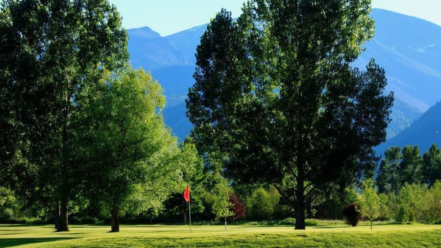 Whitetail GC