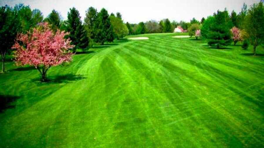 Snag Creek GC