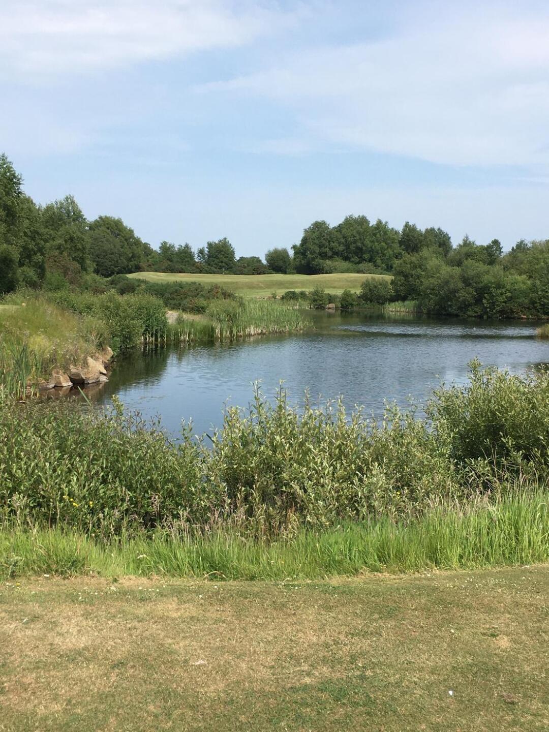 (Photo submitted by BuzzEng on 06/26/2023)