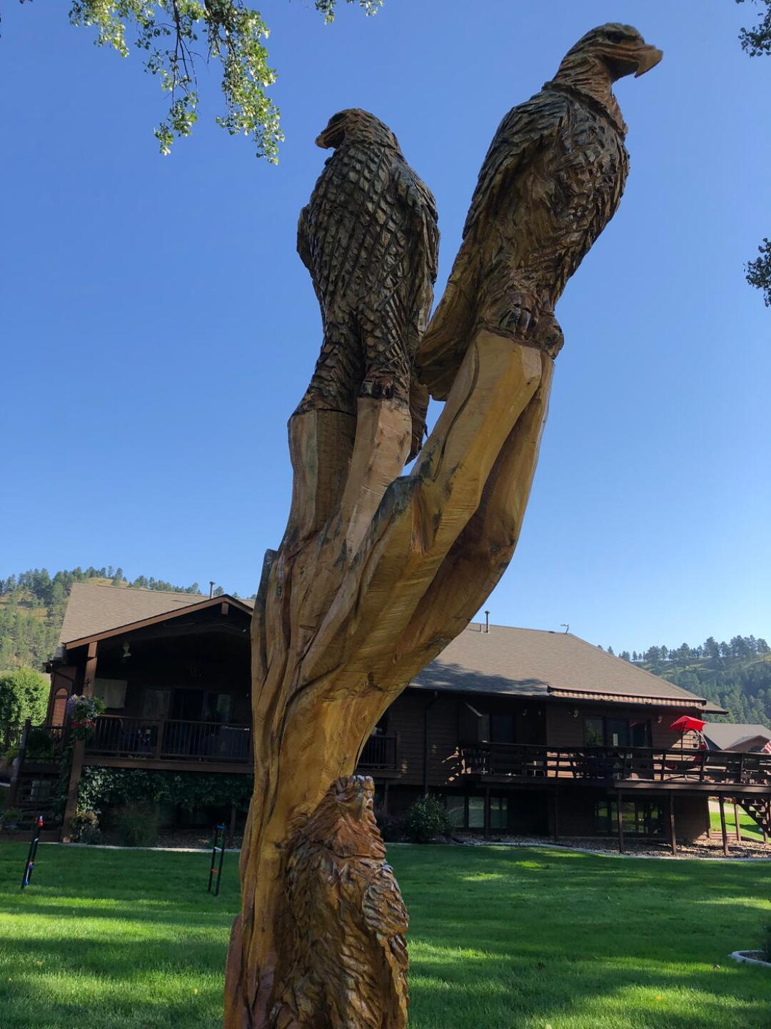 Cool carving in back yard (Photo submitted by Davetravels4golf on 09/04/2018)