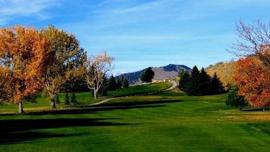 Buffalo GC
