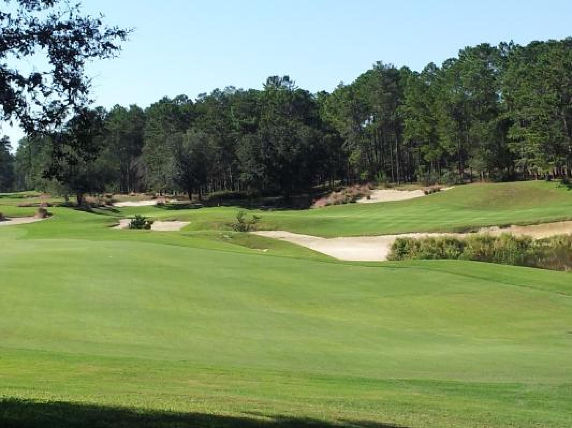 #15 fairway (Photo submitted by zdt23 on 10/28/2013)