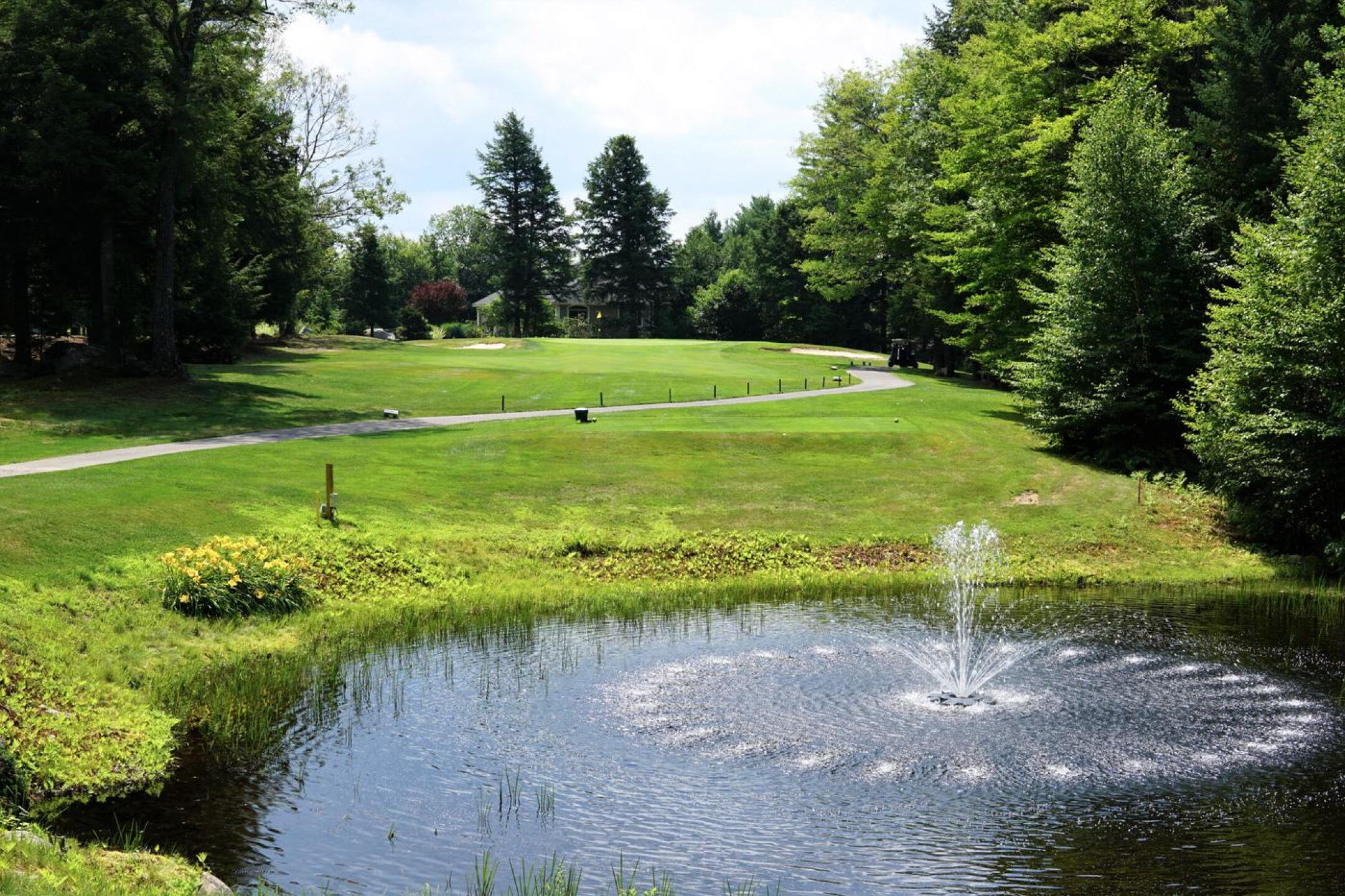 The third, a straightforward par-3 of 155, will give you a breather after the very tough second hole at Hale’s Location GC. (Photo submitted by AptlyLinked on 07/24/2022)