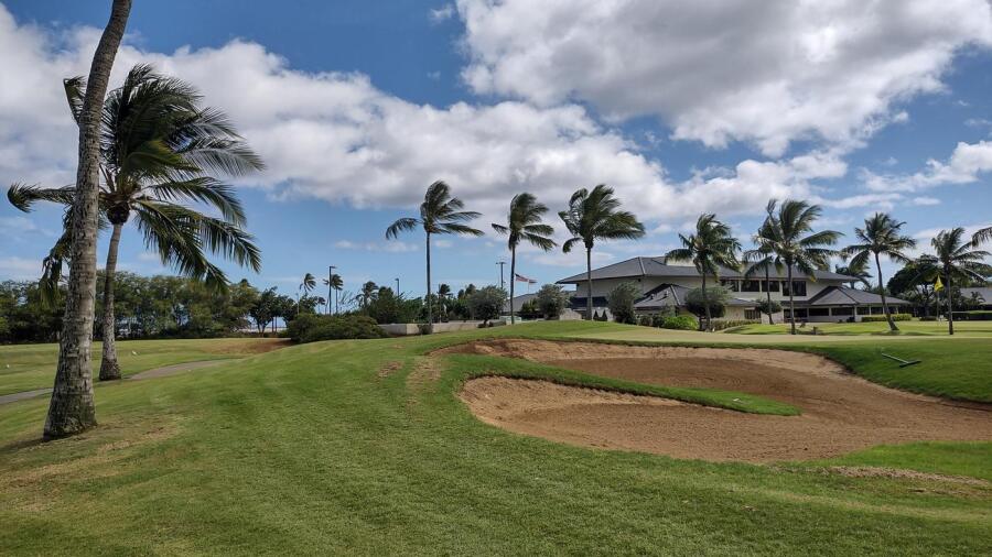 Ewa Beach - palm trees