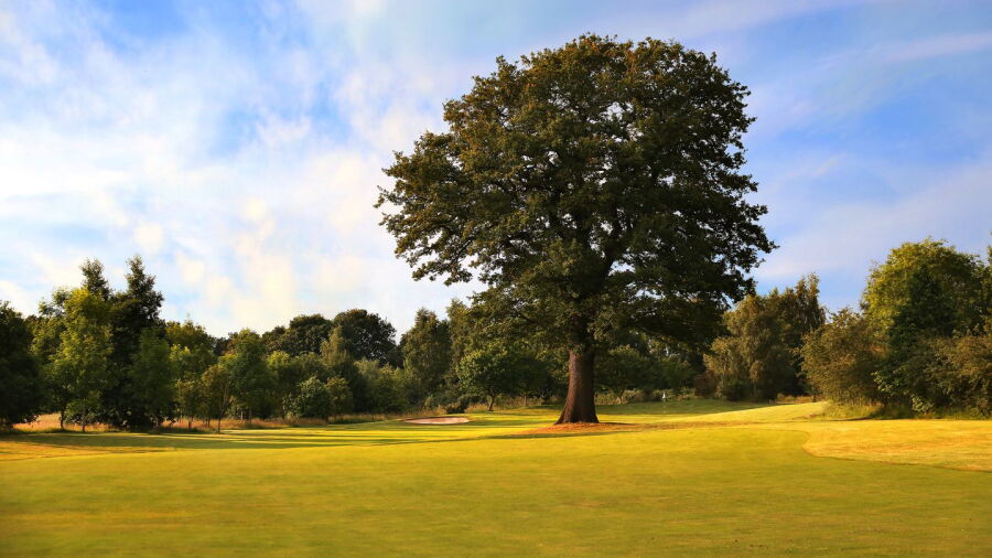 Stonebridge GC - Somers: #7