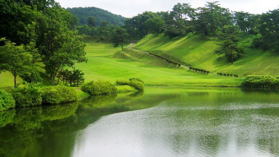 Kasamasakura CC