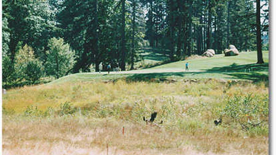 Stone Creek #14