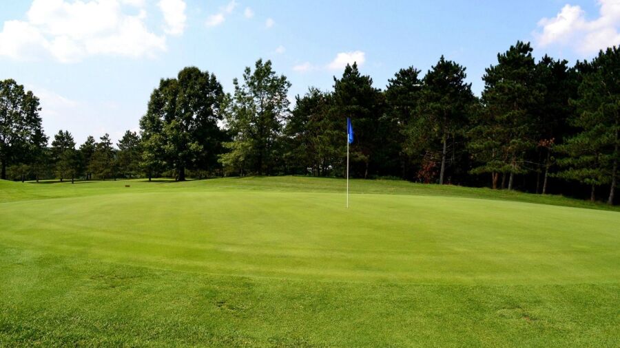 Salt Fork State Park GC