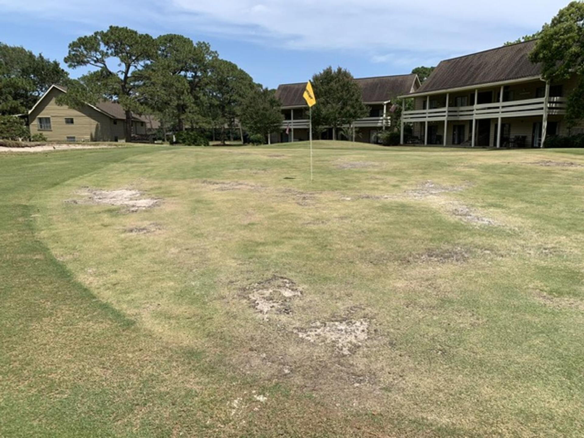 Greens condition (Photo submitted by u000007334131 on 05/05/2023)