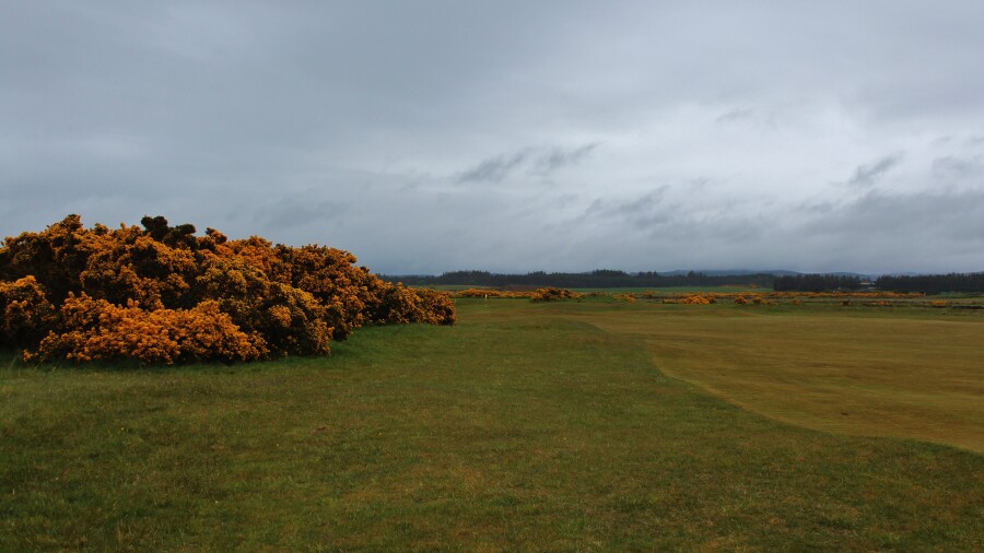 Royal Dornoch Golf Club - Struie Course - 4th