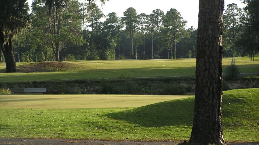 GC of Quincy: #9