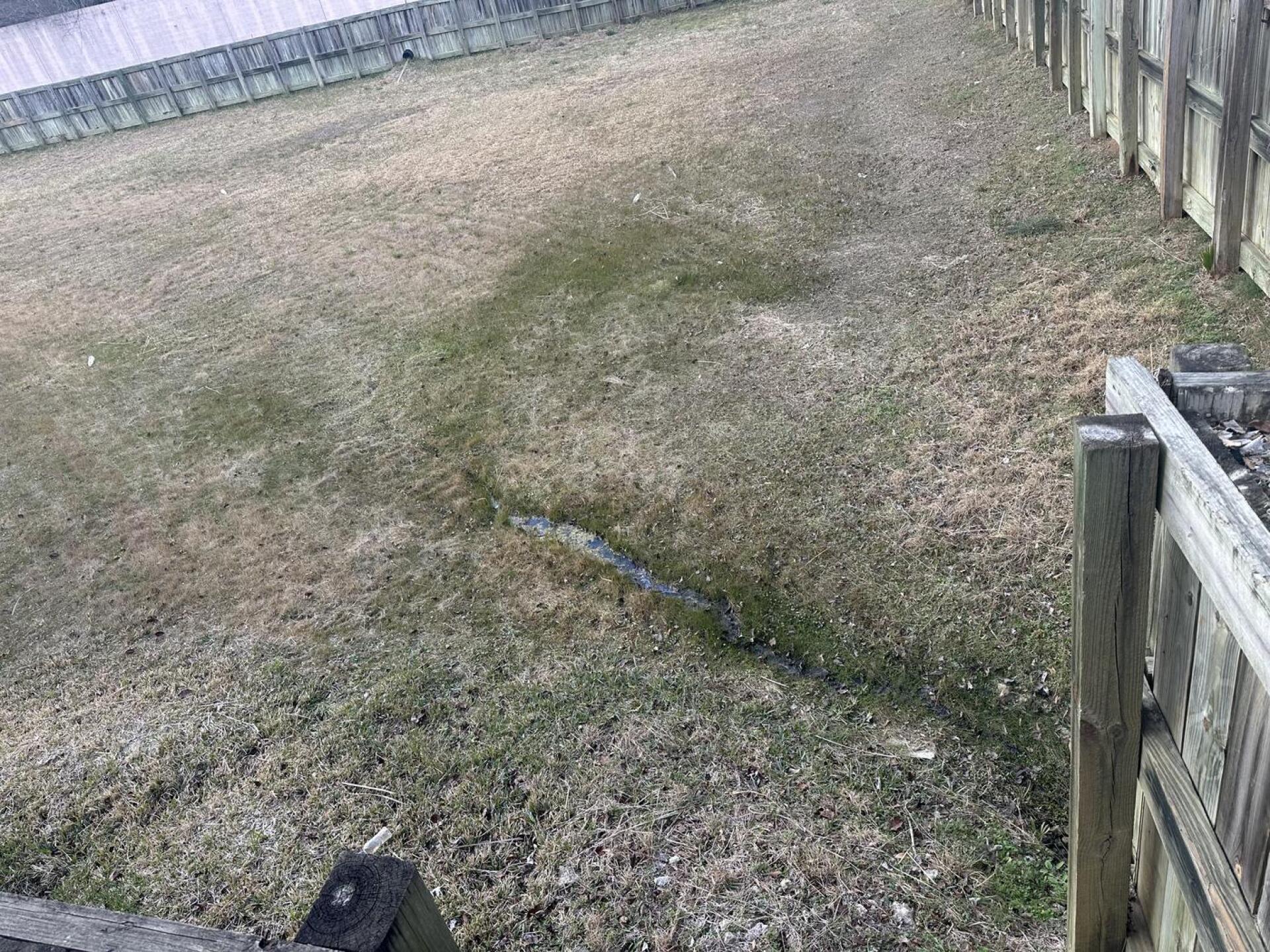 (Photo submitted by Twstrdude on 02/14/2026)