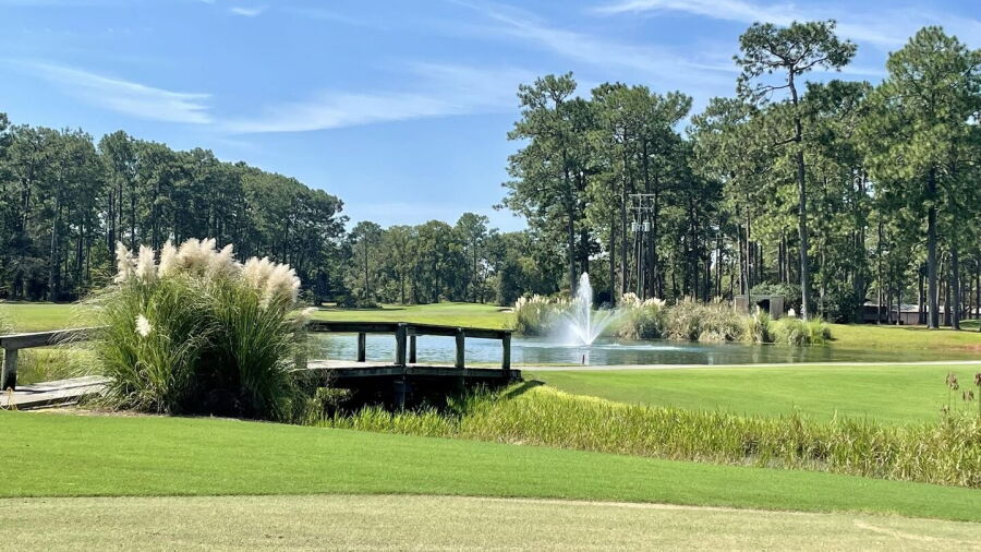 Pine Forest CC