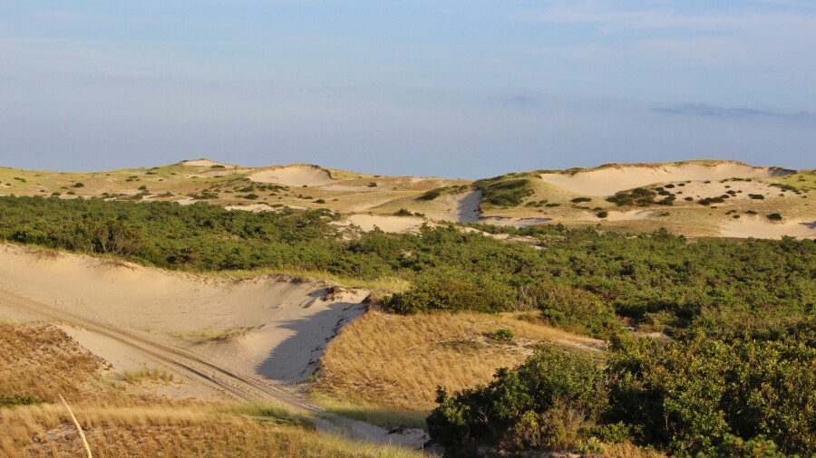 Cape Cod National Seashore