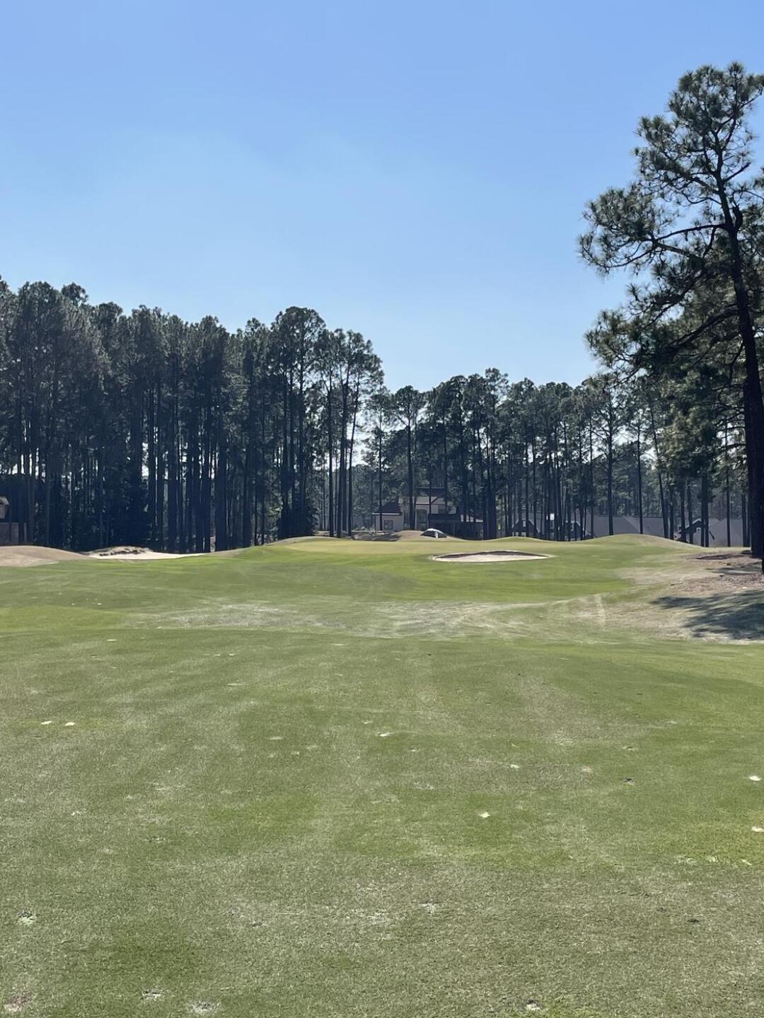 (Photo submitted by joshsmith12 on 03/15/2024)