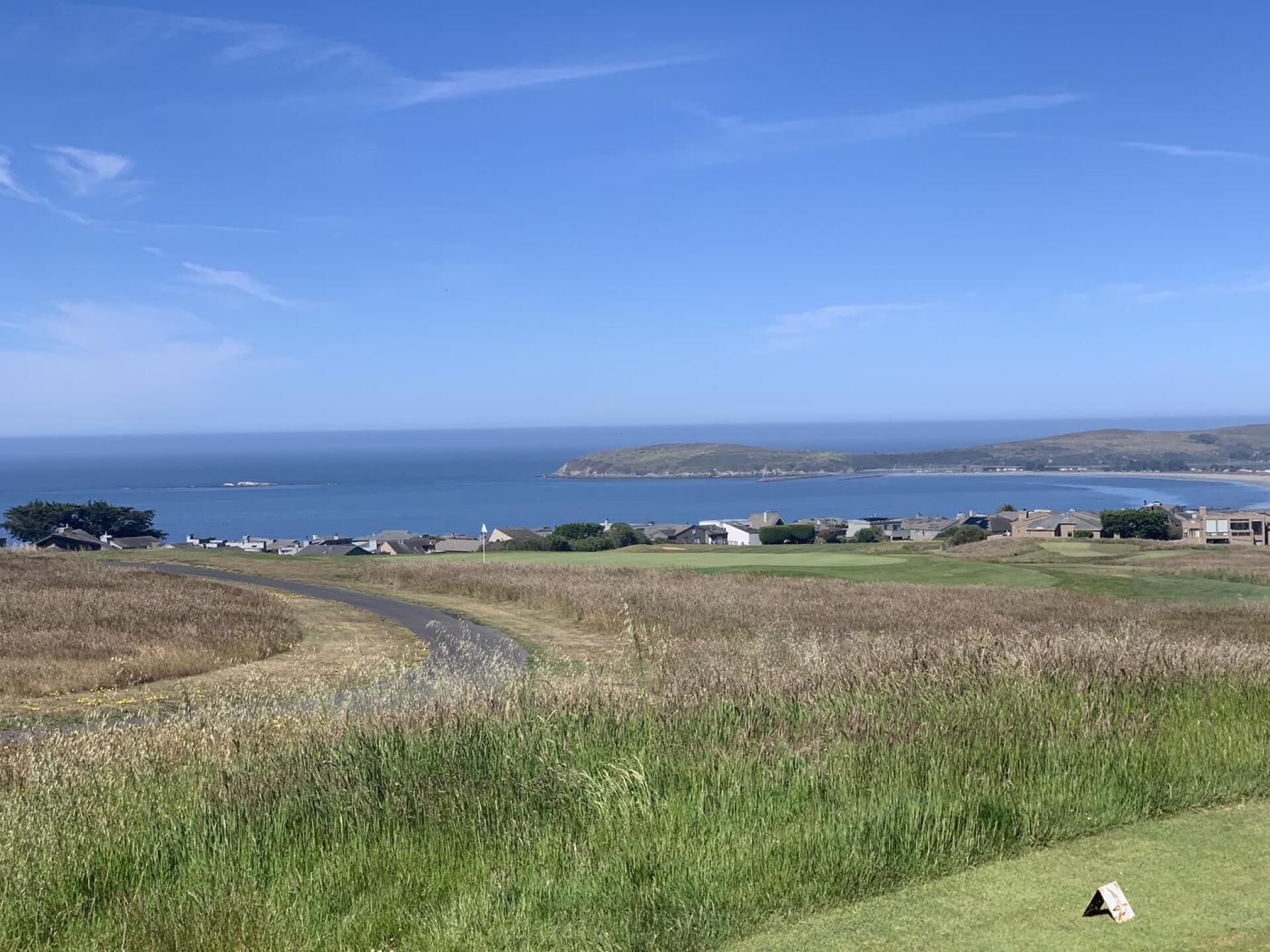 (Photo submitted by eshield on 06/17/2021)