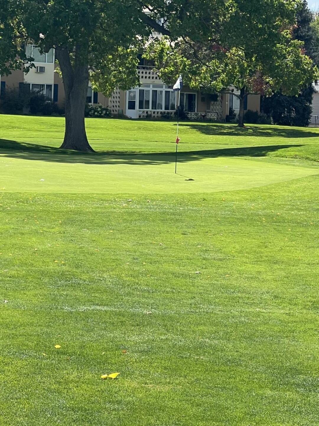 (Photo submitted by u781564226 on 01/07/2026)