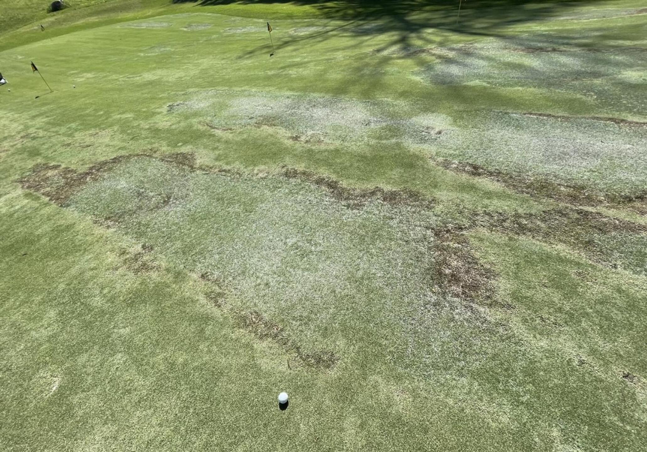 Putting green clubhouse (Photo submitted by JoeGolfer58 on 04/28/2022)