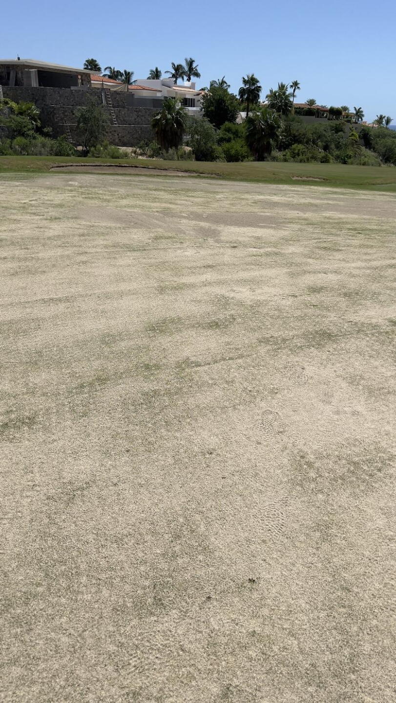 Small example of how much sand we were dealing with. (Photo submitted by u314162481791 on 09/23/2022)