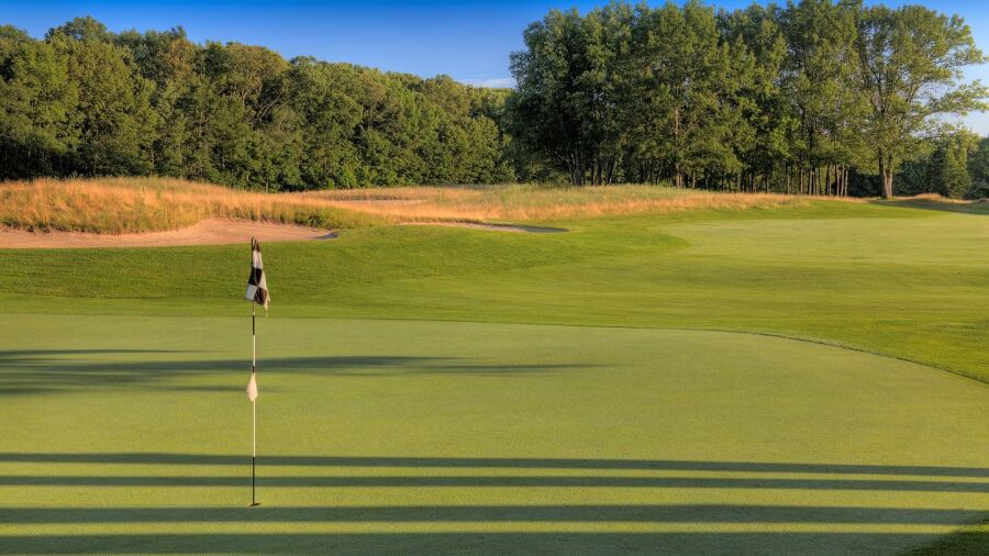 Cedar Chase: #5