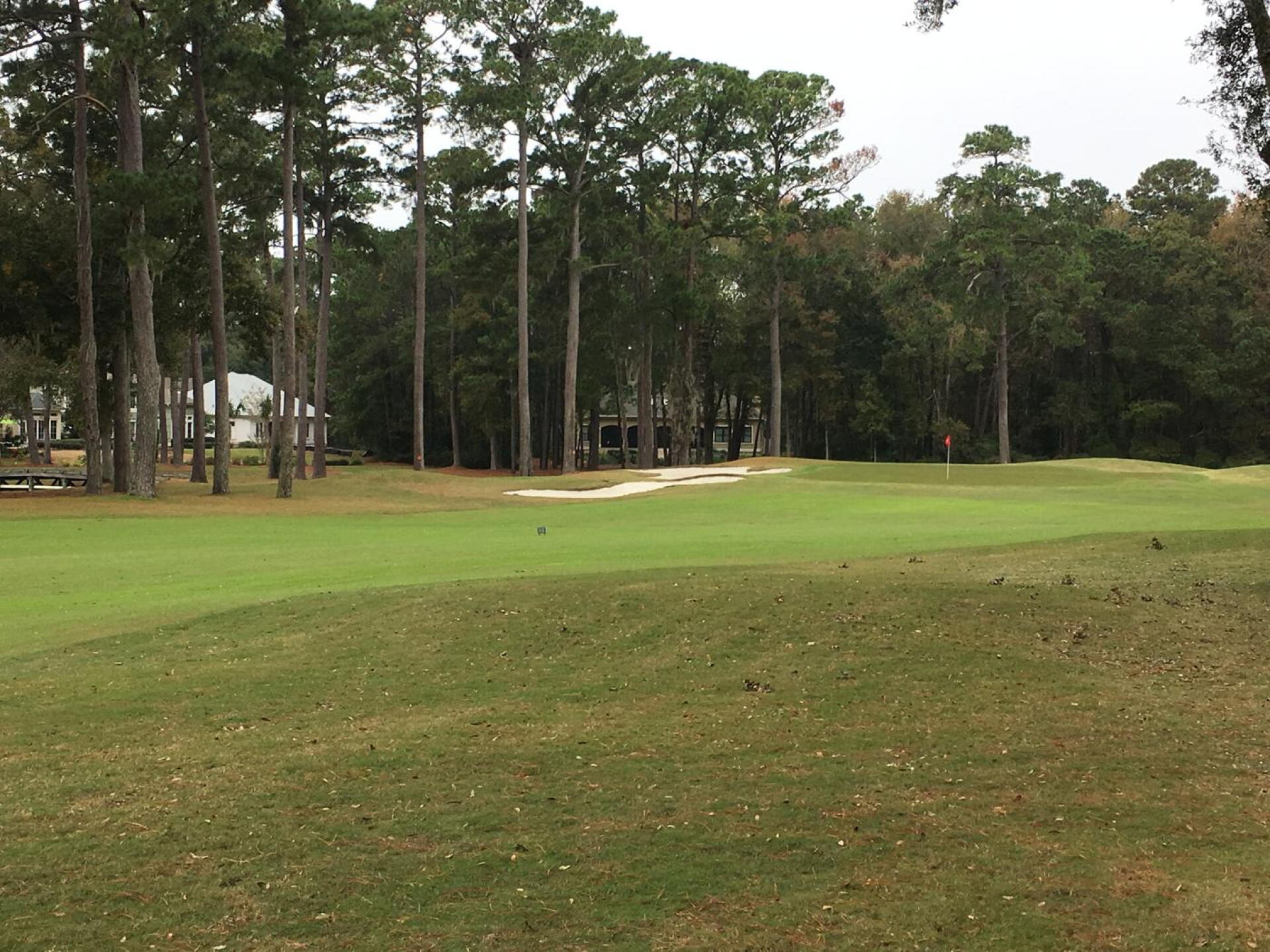 fairway (Photo submitted by Azalea13 on 11/27/2018)