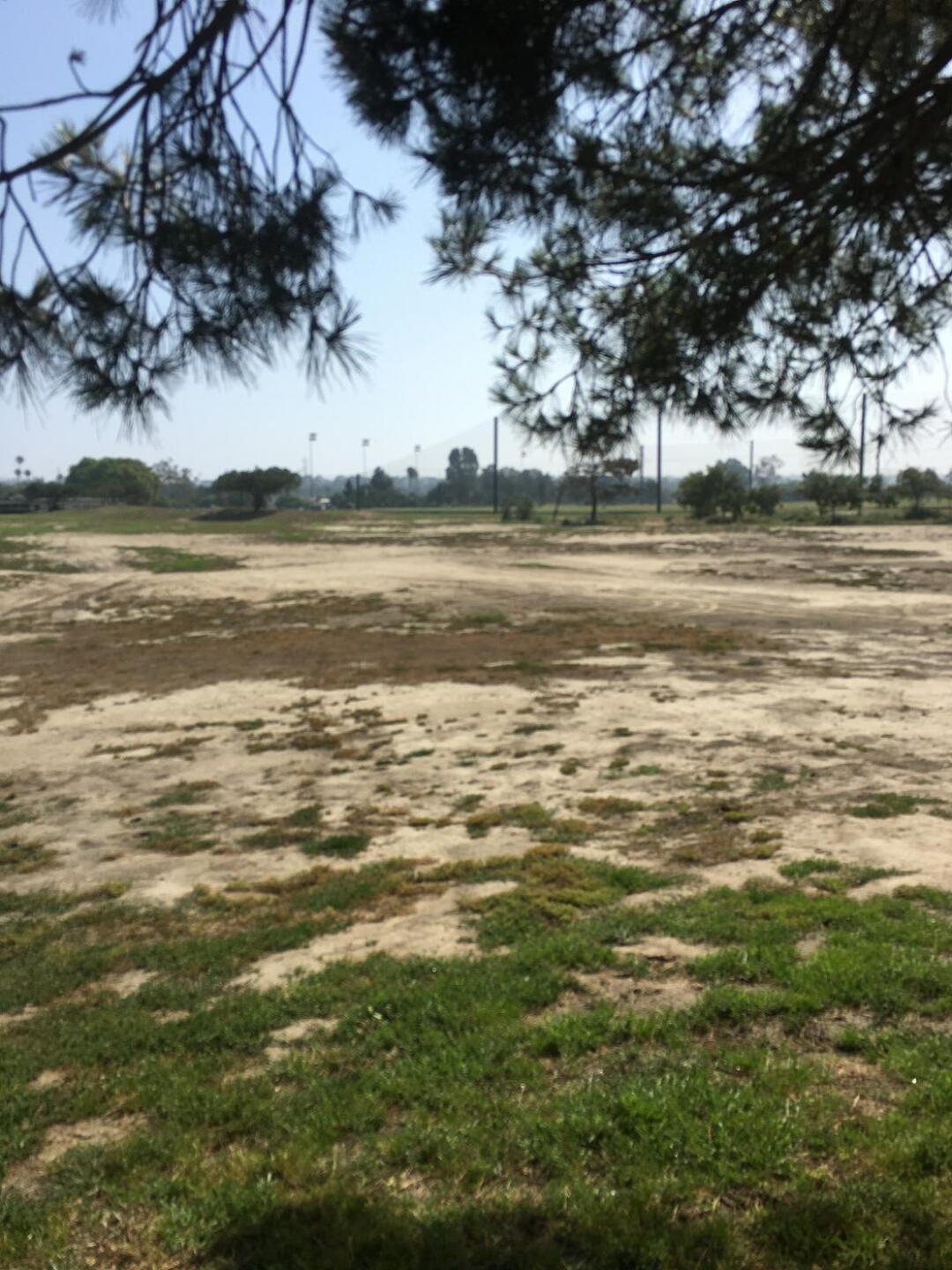 Desert or dirt pit? (Photo submitted by u00000868683 on 06/11/2022)