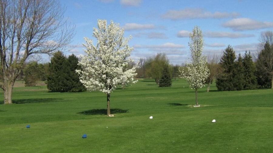 Ridgeview GC