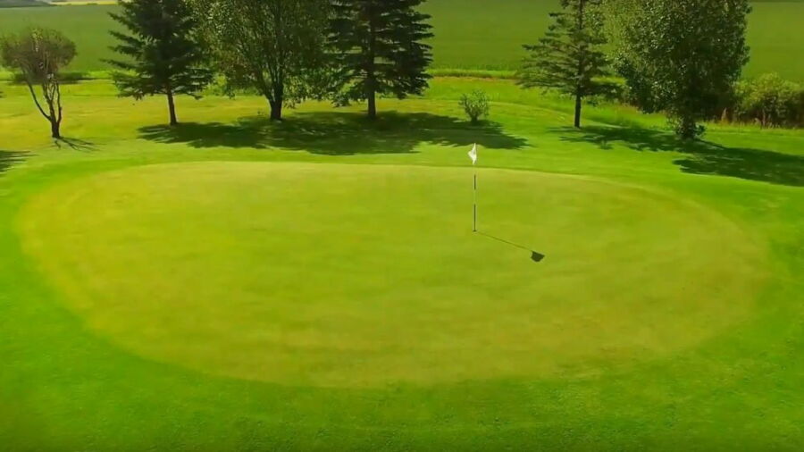 Castor GC: #5