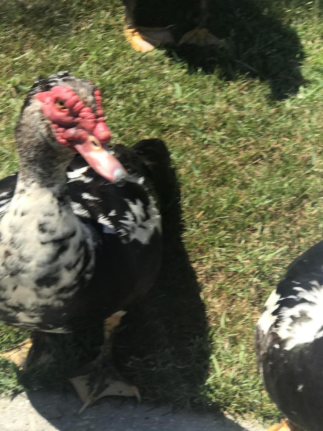 (Photo submitted by Jan9724333 on 05/08/2021)