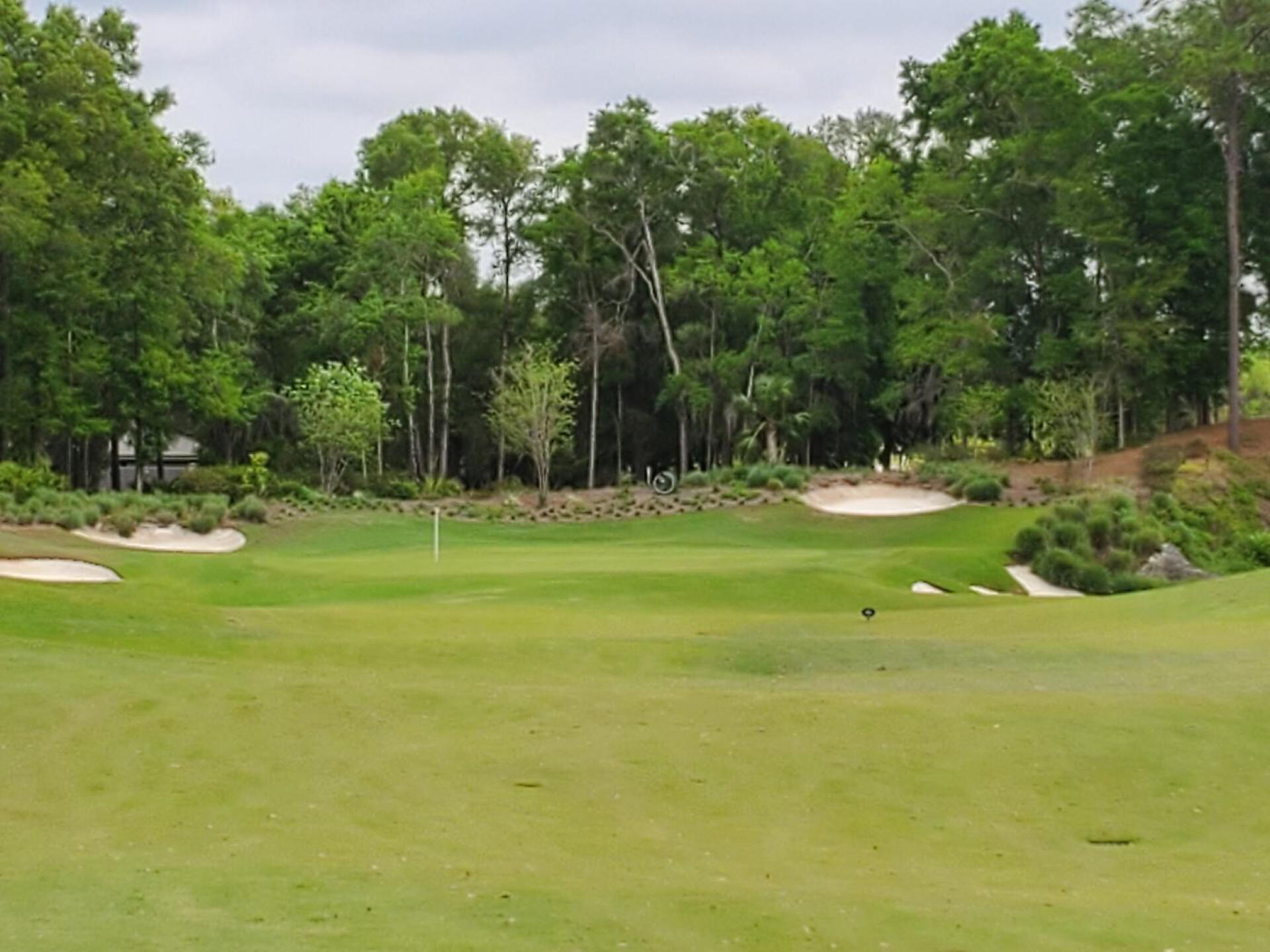 8th hole. Downhill par 4. Augusta like. (Photo submitted by Christophe3886879 on 04/13/2020)