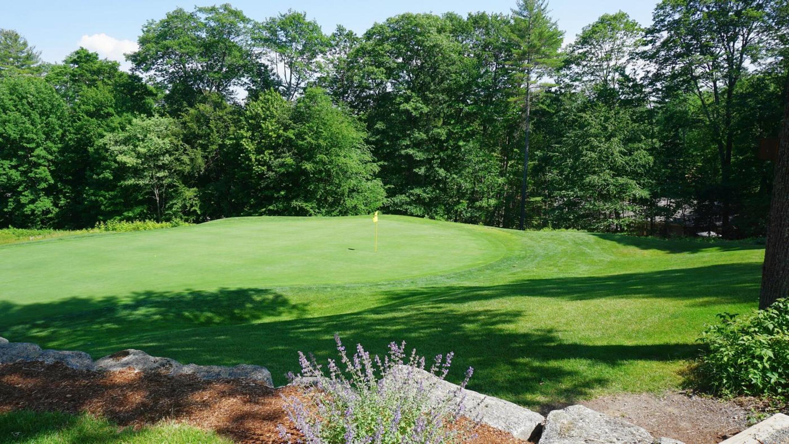 Fifteen: A view of this par-3’s green from its right flank. (Photo submitted by AptlyLinked on 06/23/2021)