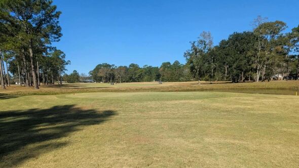 Cherokee Rose CC