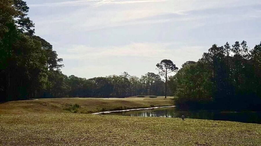 Arthur Hills at Palmetto Hall Plantation: #2